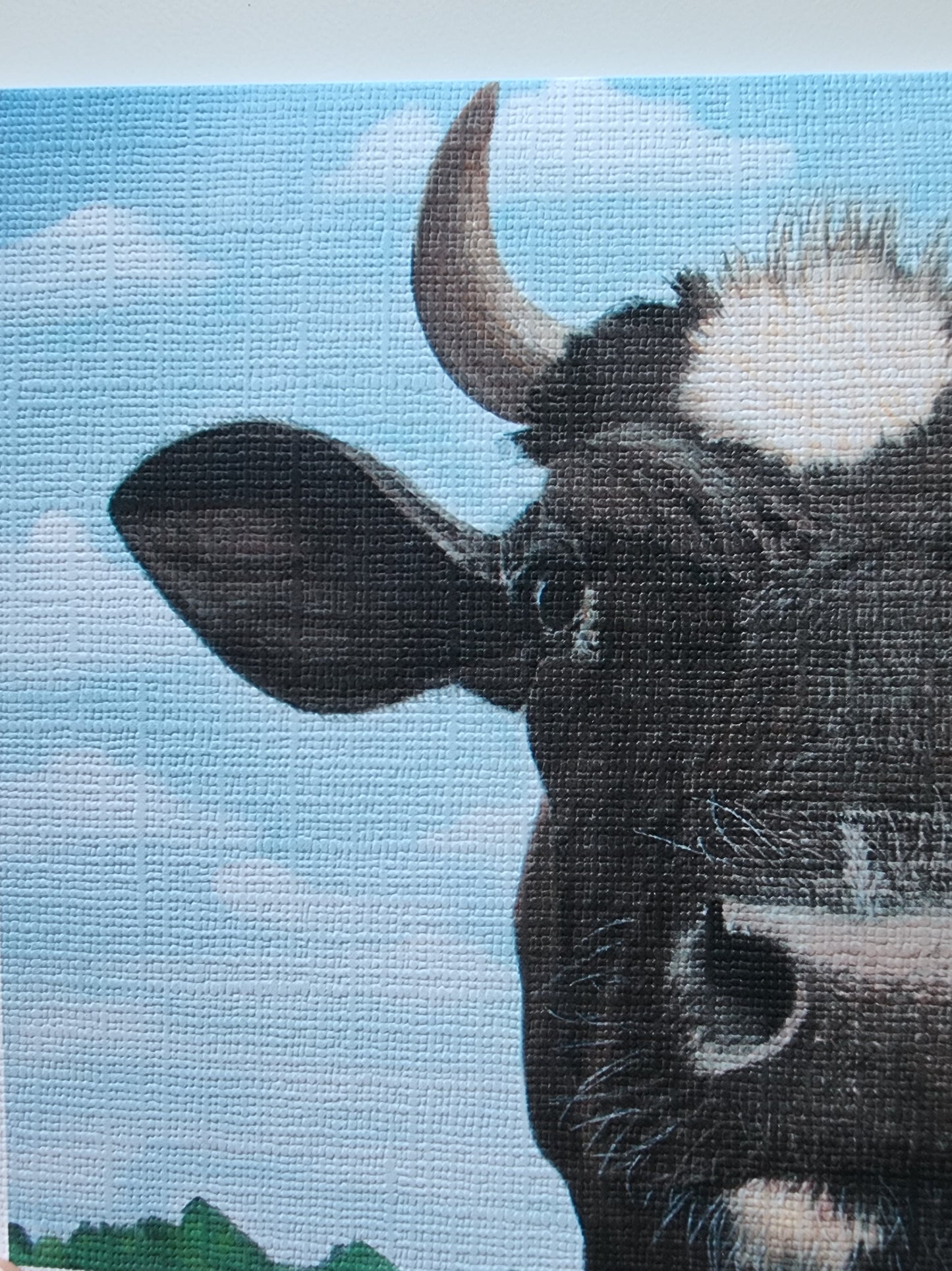 Cow Greeting Card