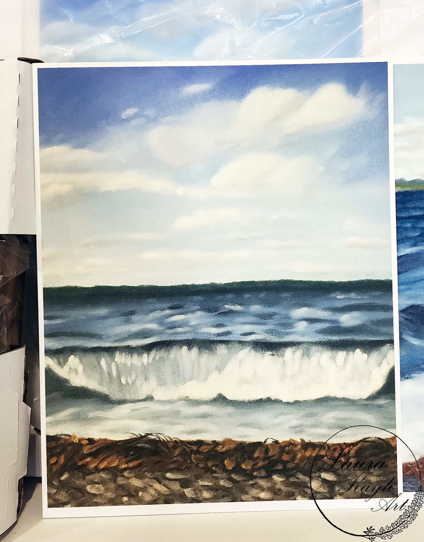 "The View from Rocky Cove" Art Print
