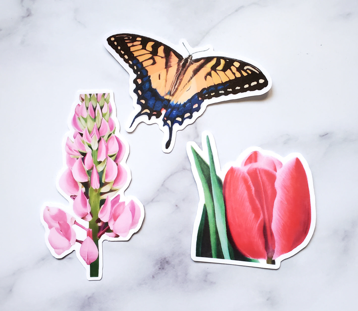 Mystery Sticker Seconds (Pack of 5)