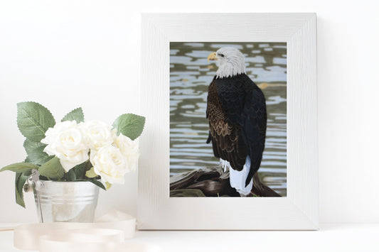 American Bald Eagle Artist Print