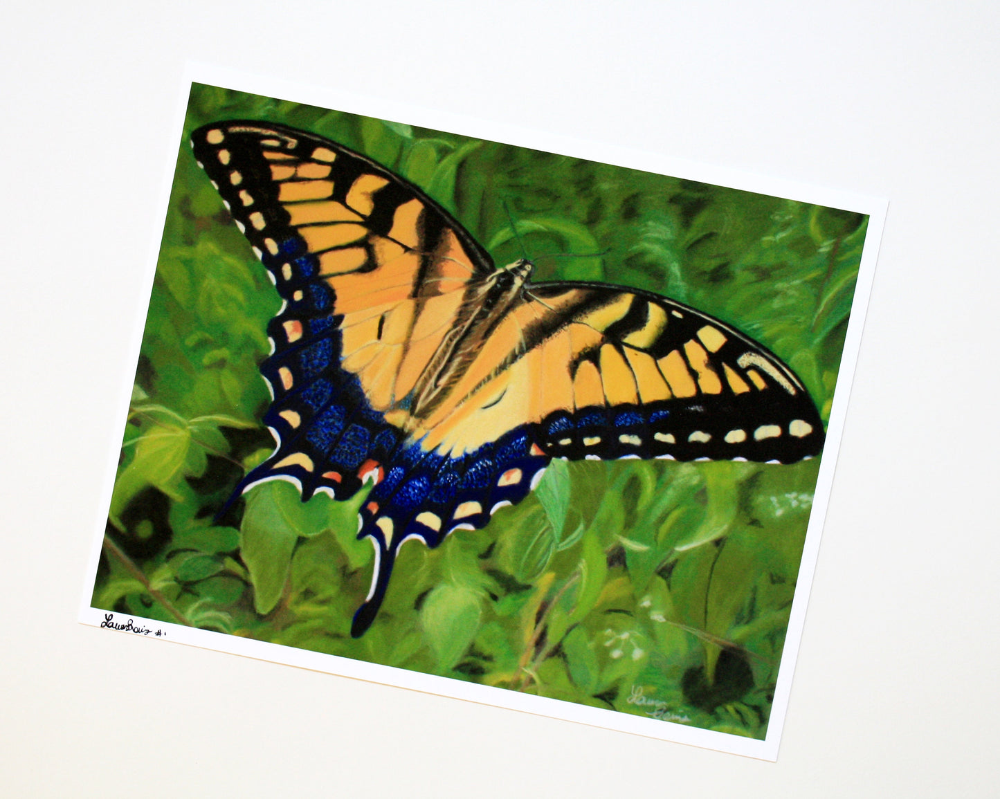 Butterfly Artist Print