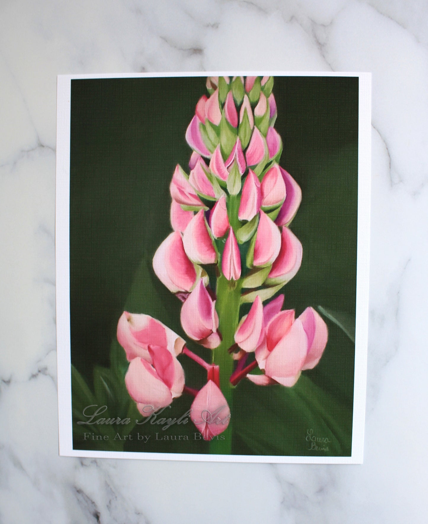 Lupine Artist Print