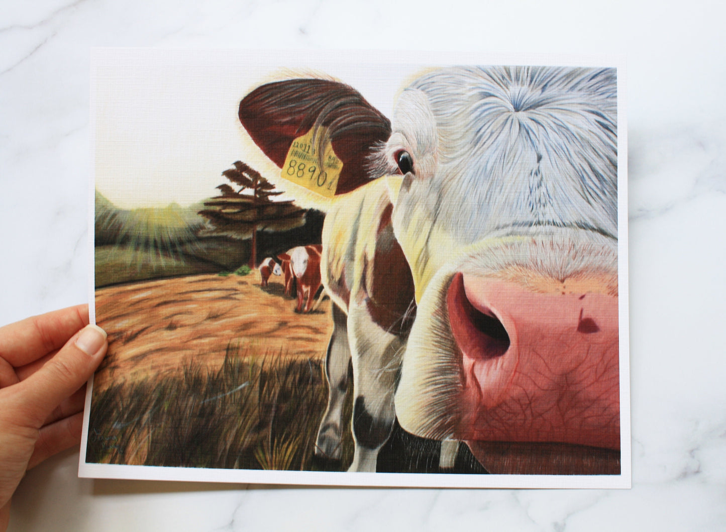 Cow "Just Saying Hi" Artist Print