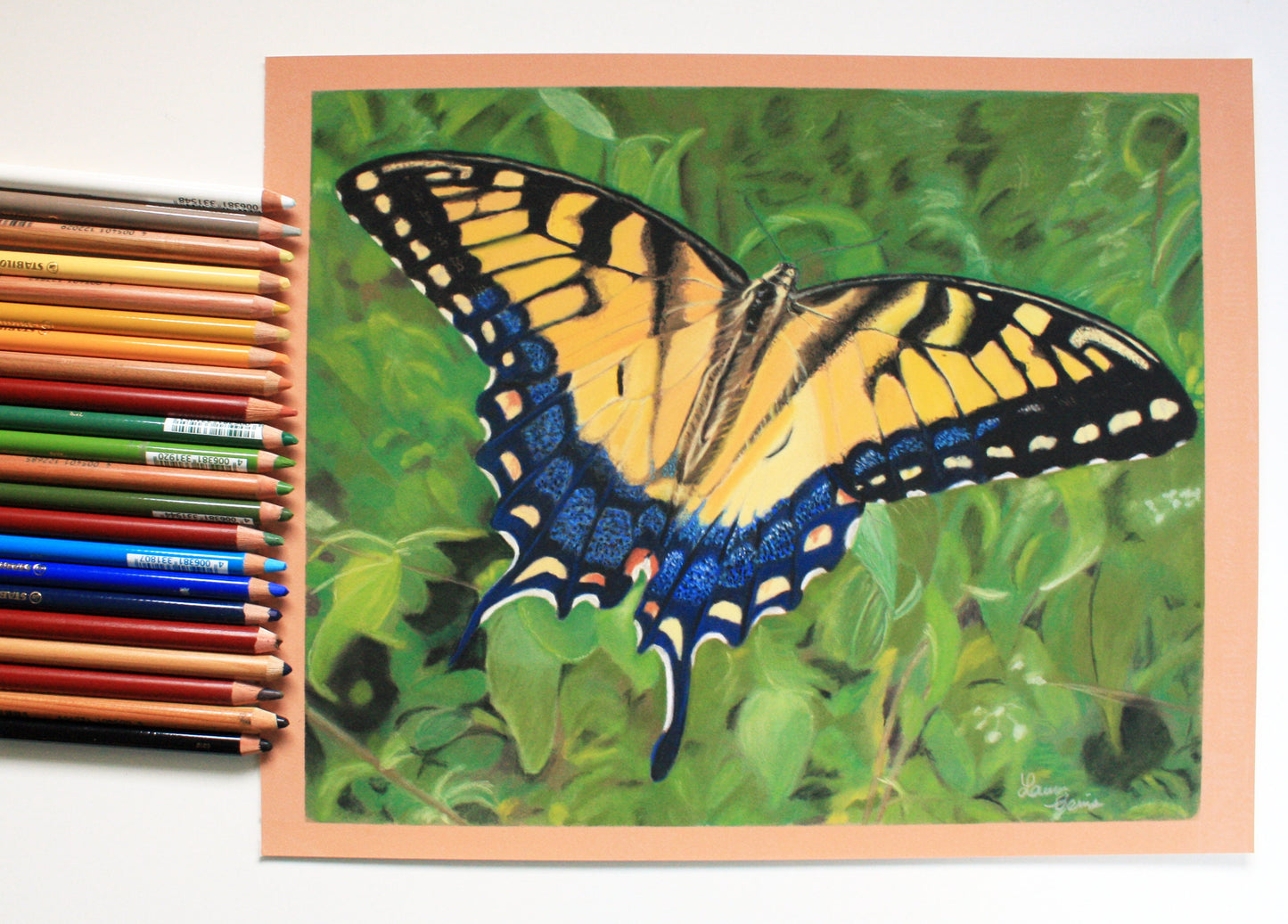 Butterfly Original Pastel Drawing