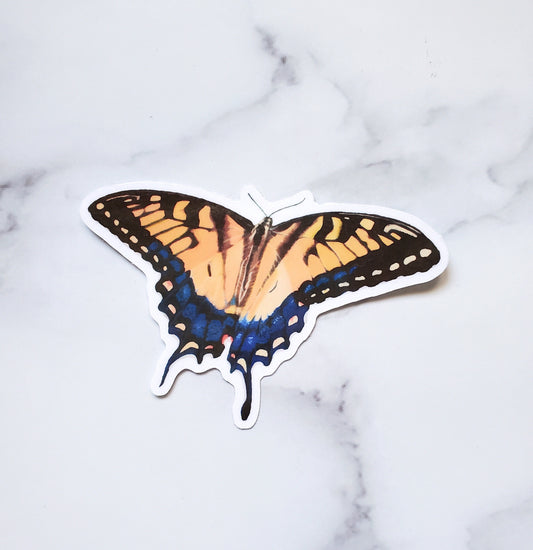 Butterfly Waterproof Sticker