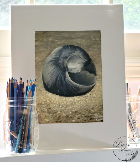 "Little Shell" Pastel Painting