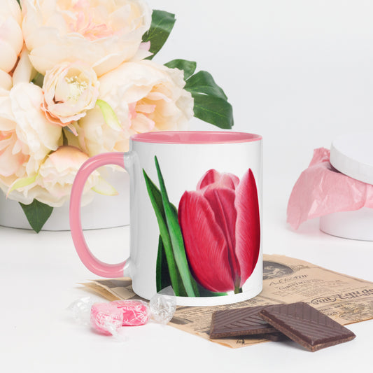 Tulip Mug with Color Inside