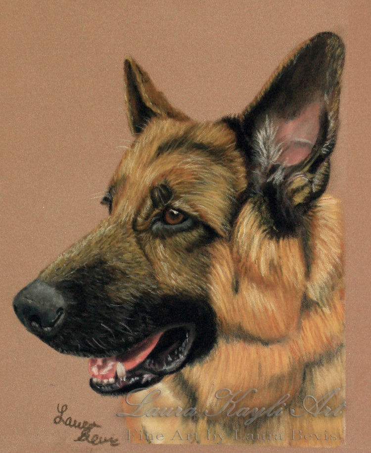 Pastel portrait of Rex, a German Shepherd in profile with his mouth open, on warm tan paper