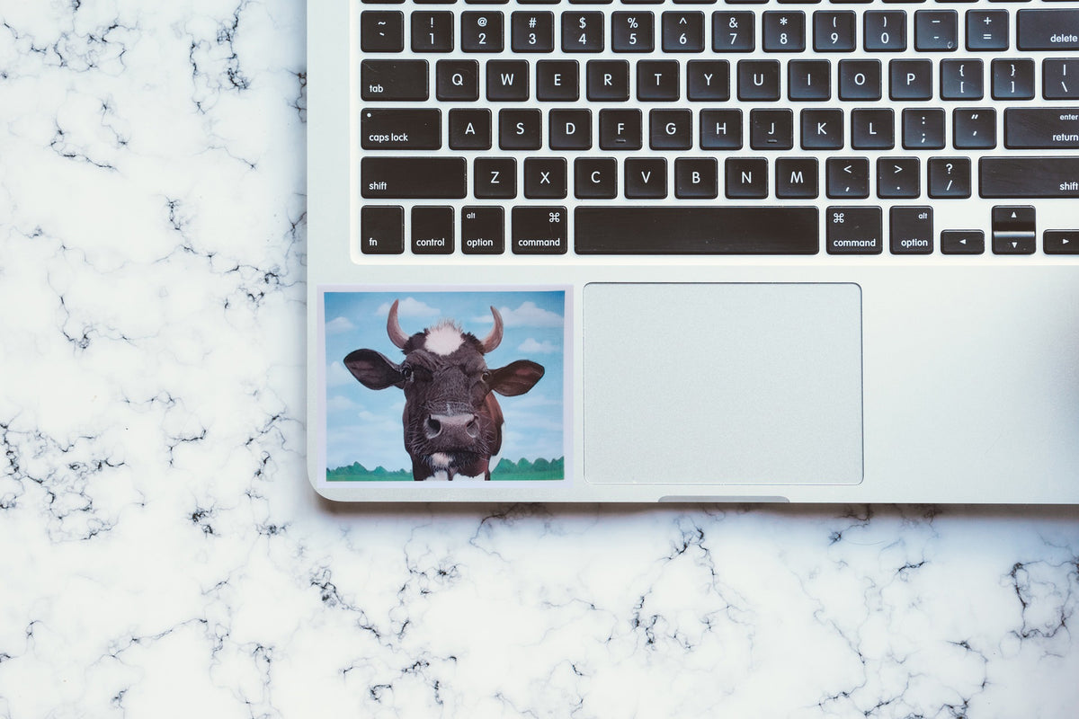 Cow Waterproof Sticker