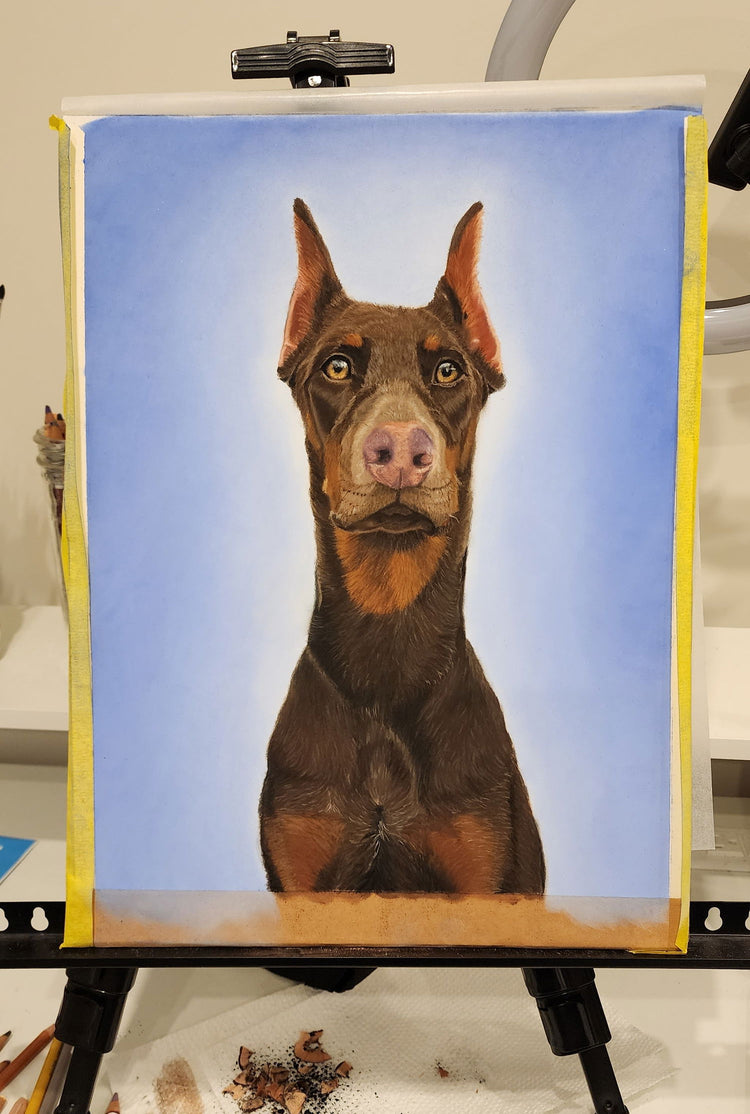 Portrait of Mia, a red Doberman, against a soft blue background, shown on the easel
