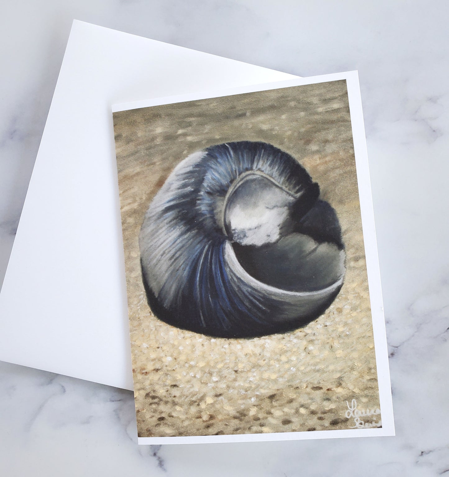 Seashell Greeting Card