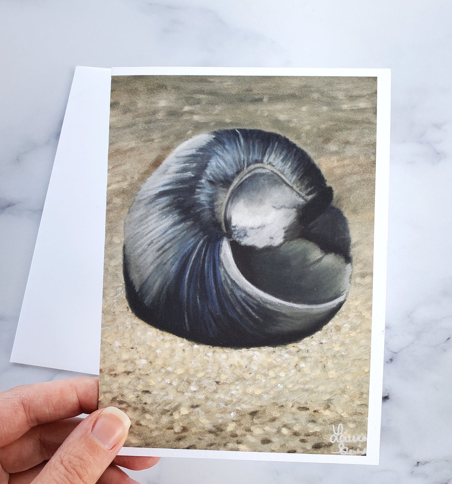 Seashell Greeting Card