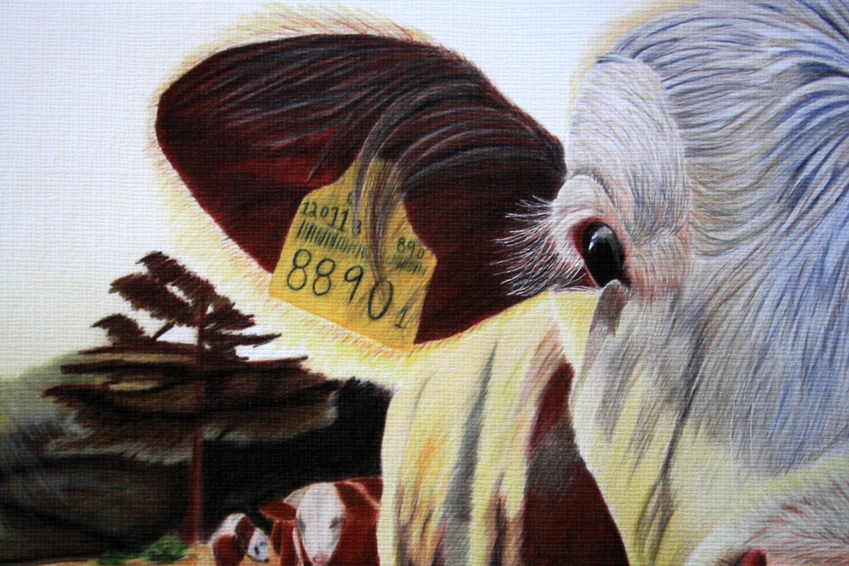 Cow "Just Saying Hi" Artist Print