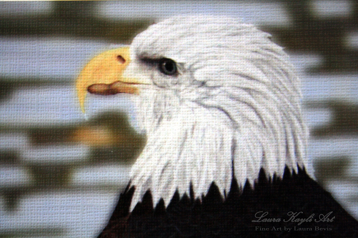 American Bald Eagle Artist Print