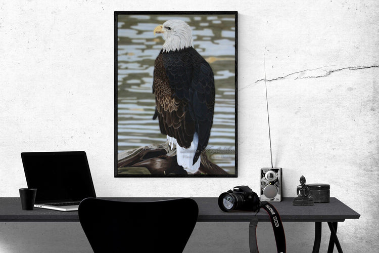 American Bald Eagle Artist Print