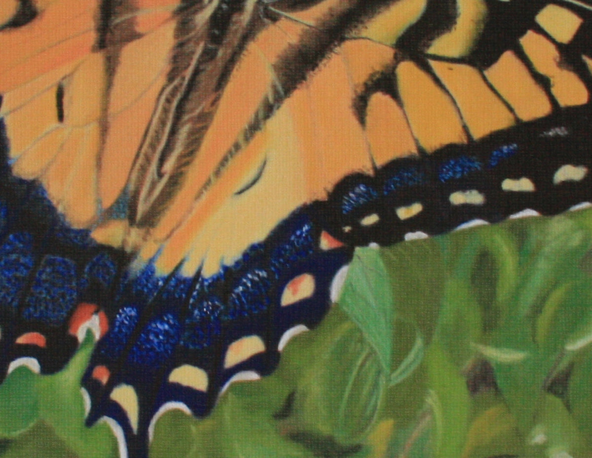 Butterfly Artist Print