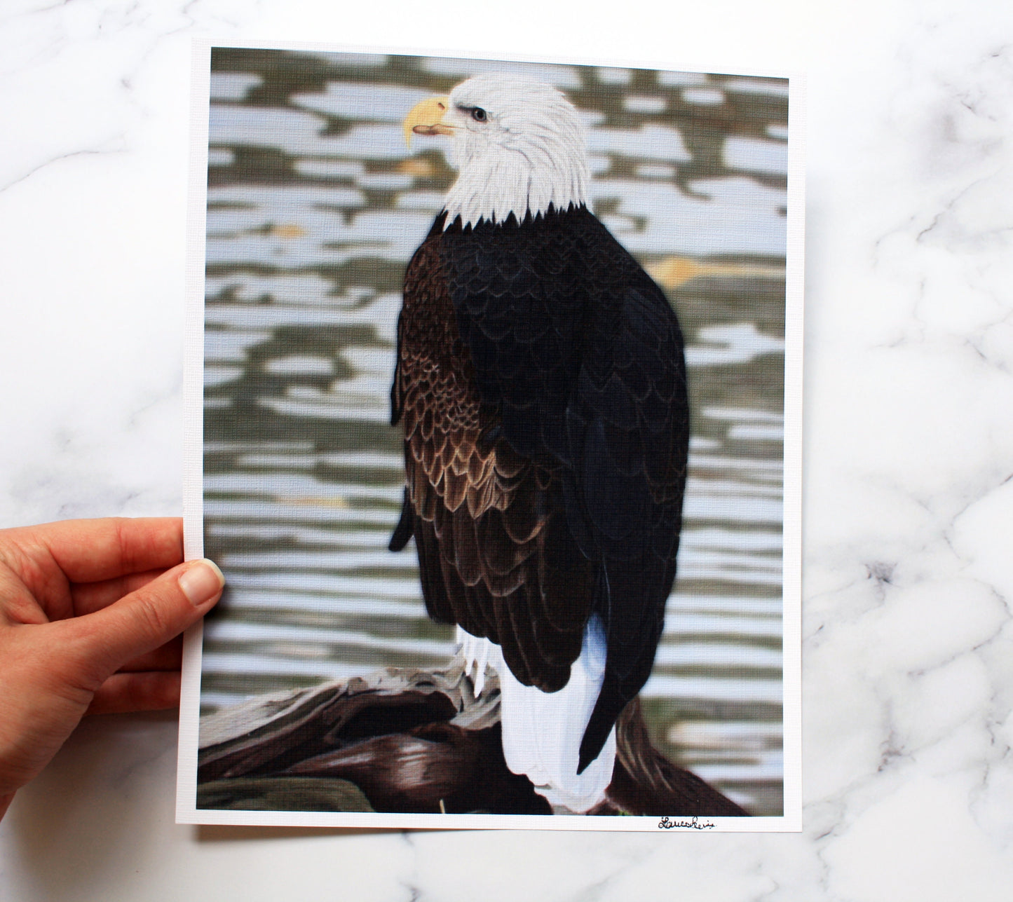 American Bald Eagle Artist Print