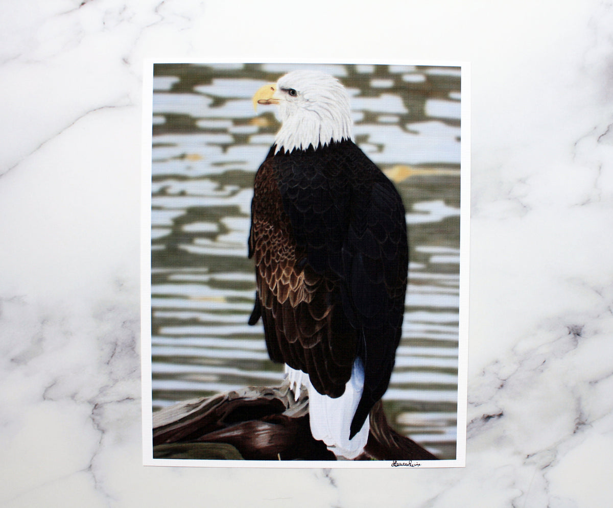 American Bald Eagle Artist Print