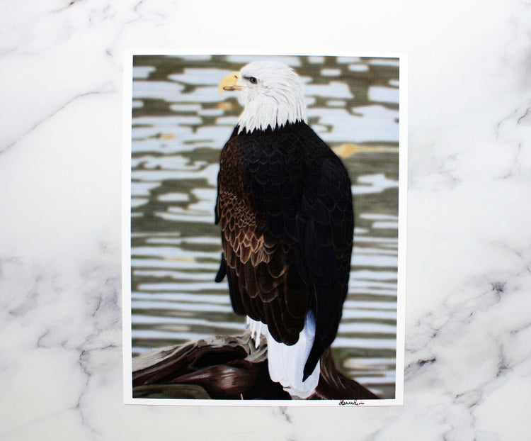American Bald Eagle Artist Print
