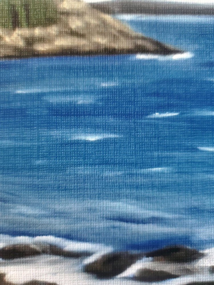 Acadia National Park Seascape Artist Print