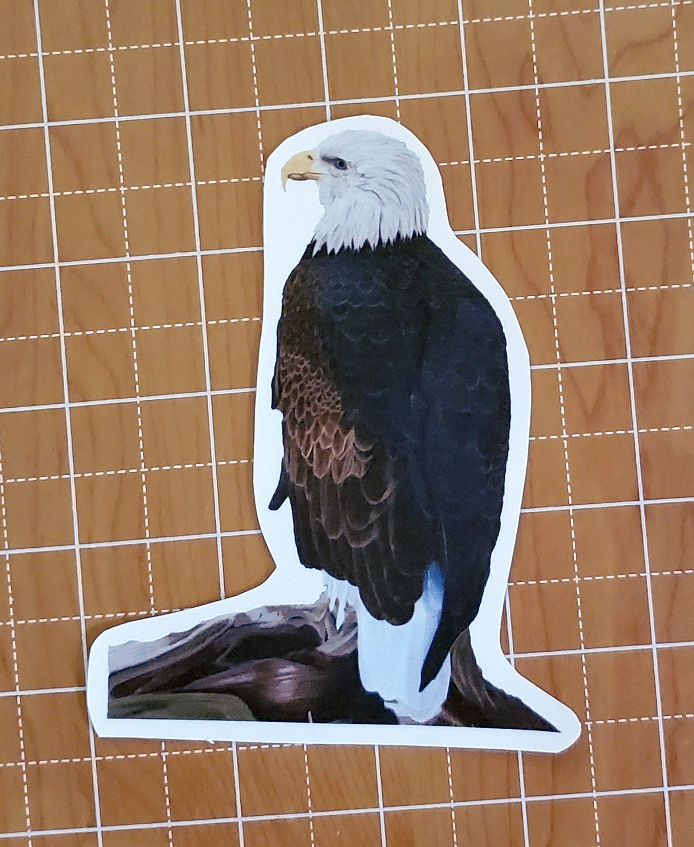 Bald Eagle Waterproof Sticker