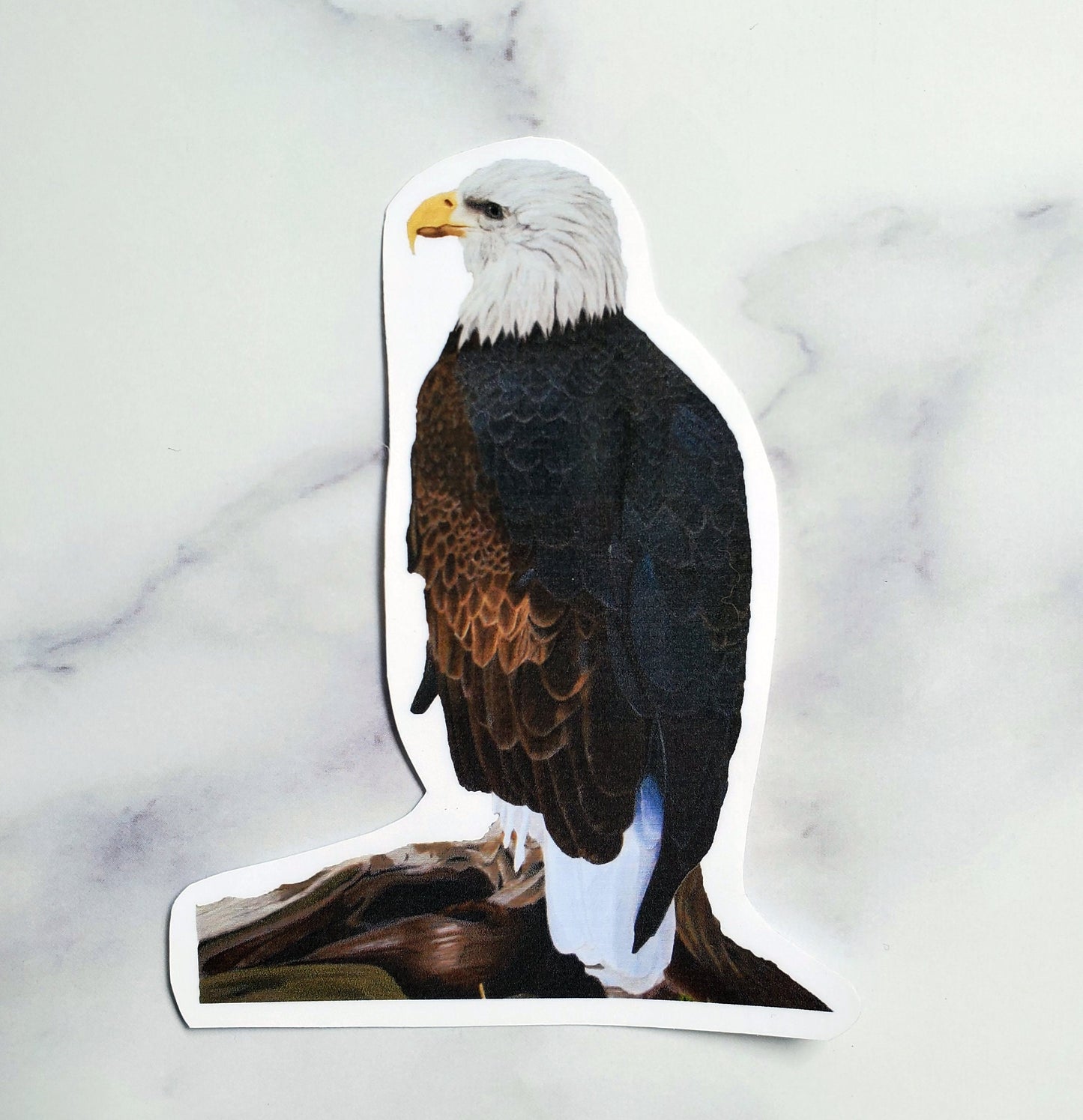 Bald Eagle Waterproof Sticker