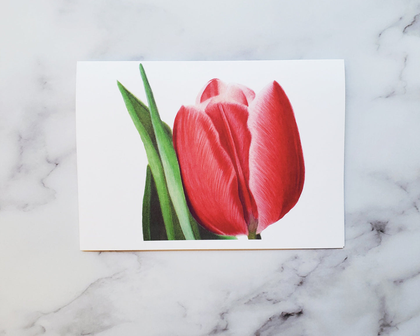 Tulip Flower Greeting Card