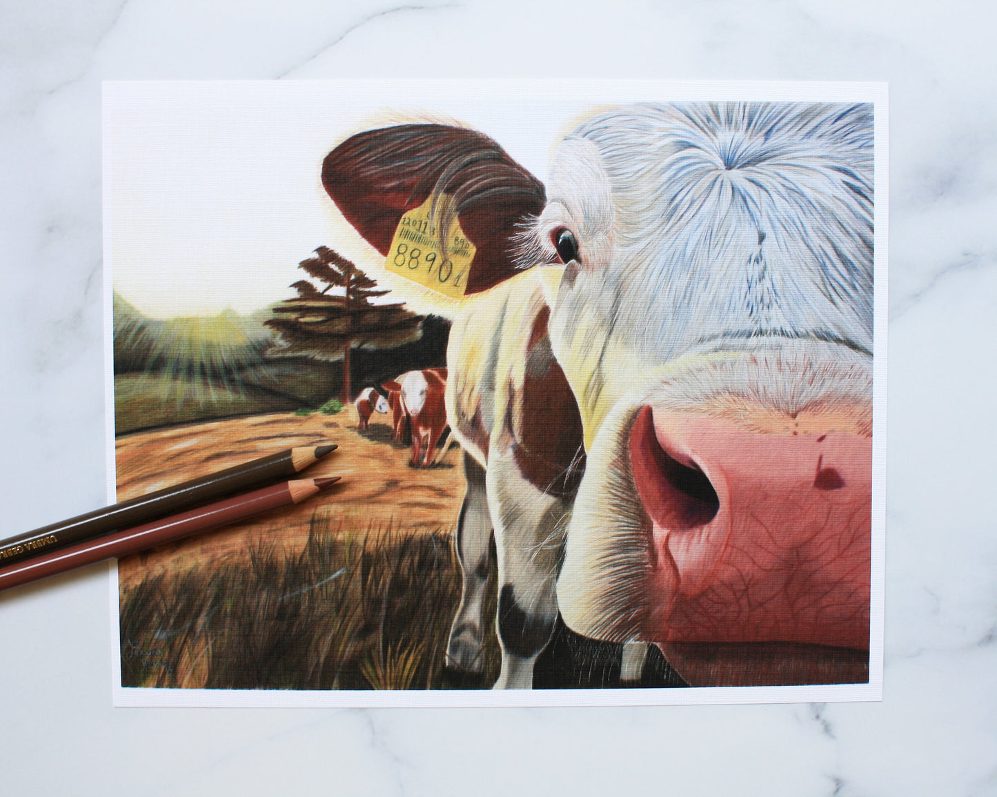 Cow "Just Saying Hi" Artist Print