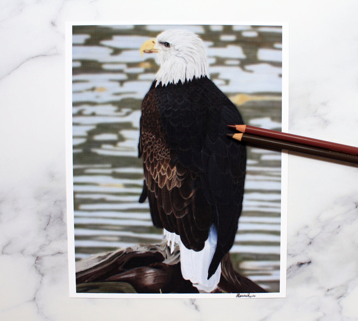 American Bald Eagle Artist Print