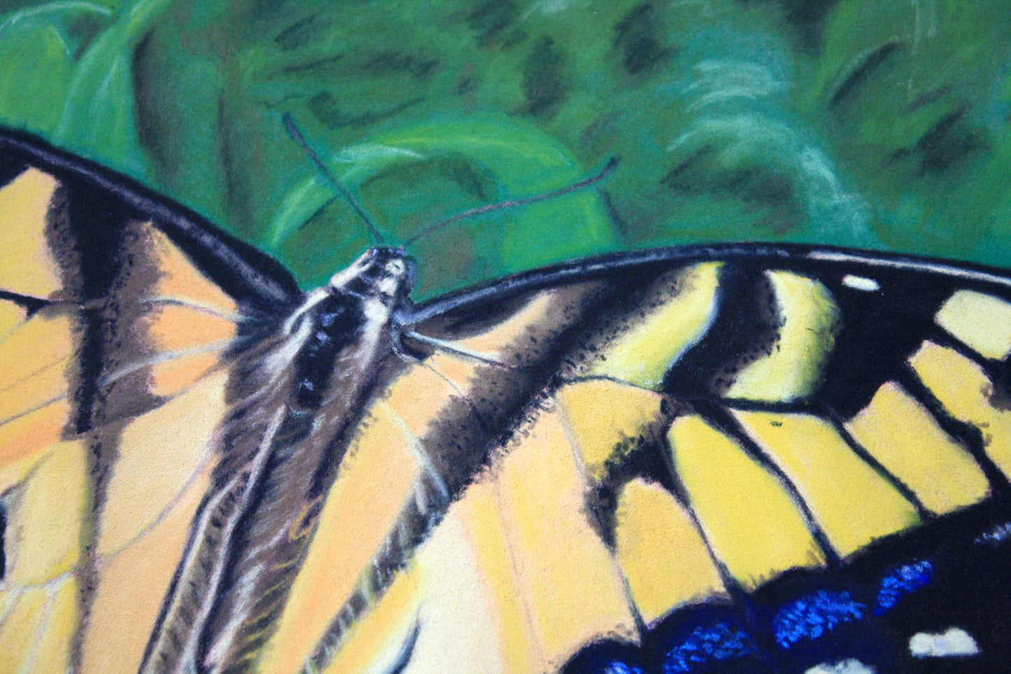 Butterfly Original Pastel Drawing