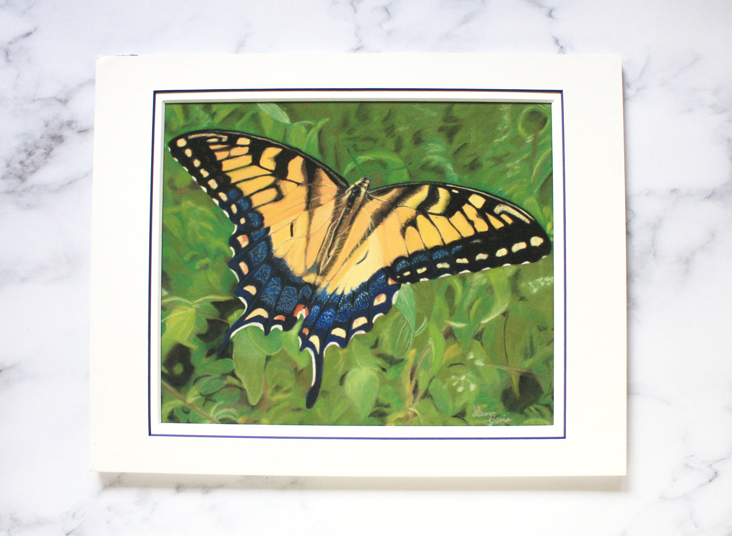 Butterfly Original Pastel Drawing