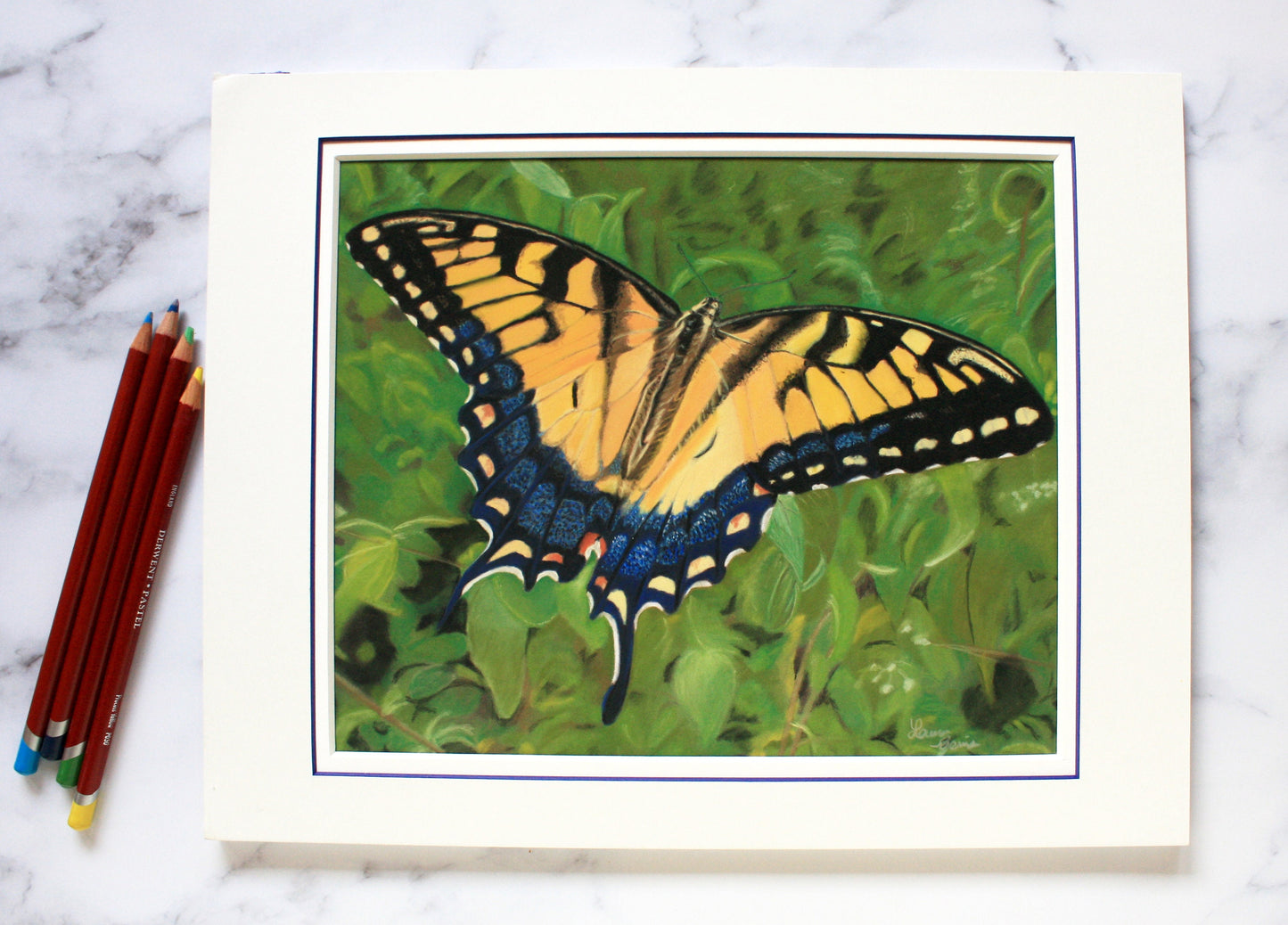 Butterfly Original Pastel Drawing