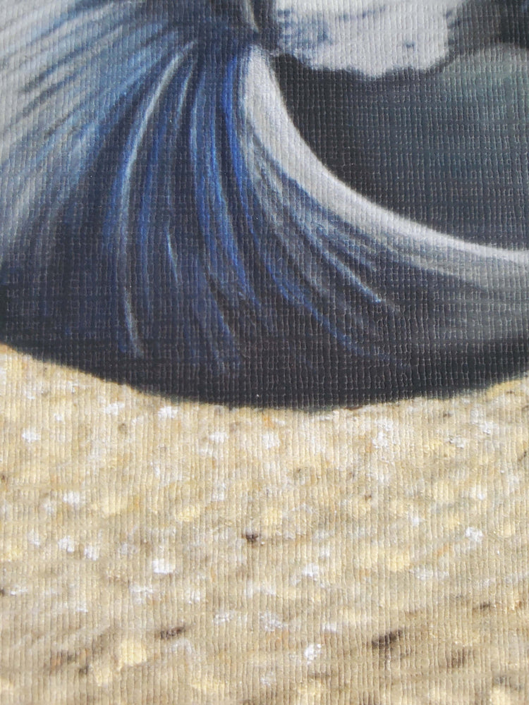 "Little Shell" Seascape Artist Print