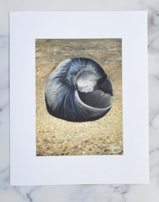 "Little Shell" Seascape Artist Print